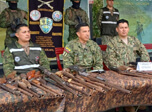 Radio Viva Fenix
