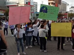 Radio Viva Fenix