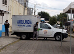 Radio Viva Fenix