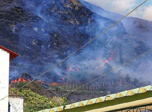 Radio Viva Fenix