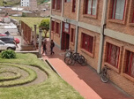Radio Viva Fenix