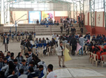Radio Viva Fenix