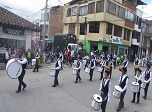Radio Viva Fenix