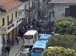 Radio Viva Fenix