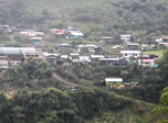Radio Viva Fenix