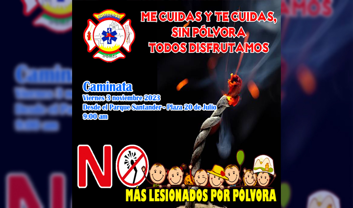 Radio Viva Fenix