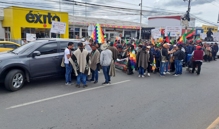 Radio Viva Fenix