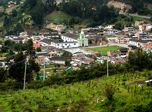 Radio Viva Fenix