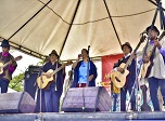 Radio Viva Fenix