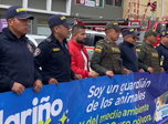 Radio Viva Fenix