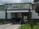 Radio Viva Fenix