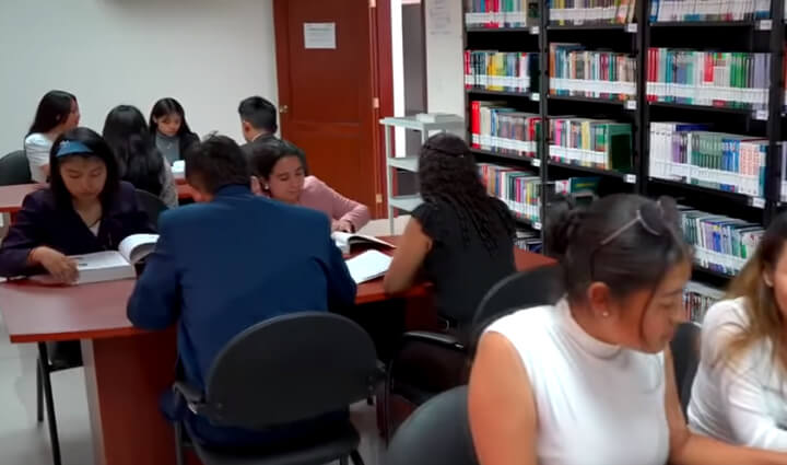 Radio Viva Fenix