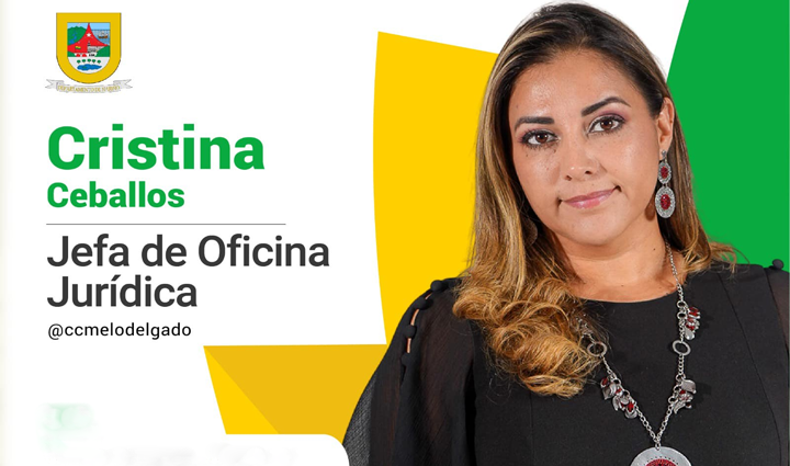 Radio Viva Fenix
