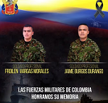 Radio Viva Fenix