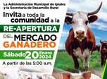 Radio Viva Fenix