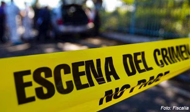 Radio Viva Fenix
