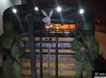 Radio Viva Fenix