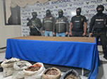 Radio Viva Fenix