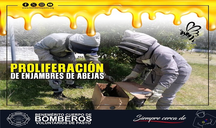 Radio Viva Fenix