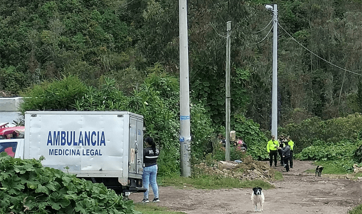 Radio Viva Fenix