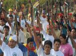 Radio Viva Fenix
