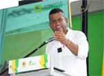 Radio Viva Fenix