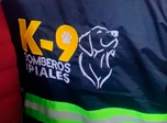 Radio Viva Fenix