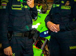 Radio Viva Fenix