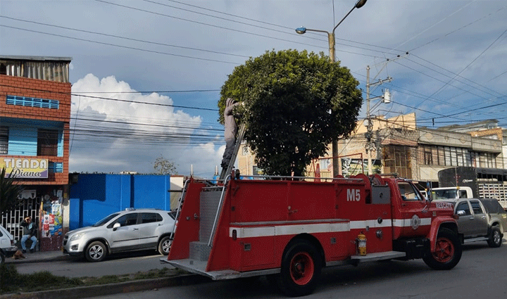 Radio Viva Fenix