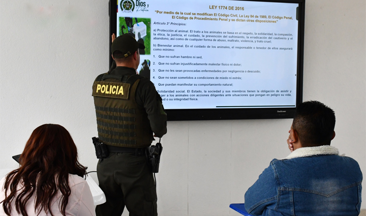 Radio Viva Fenix