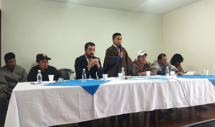Radio Viva Fenix