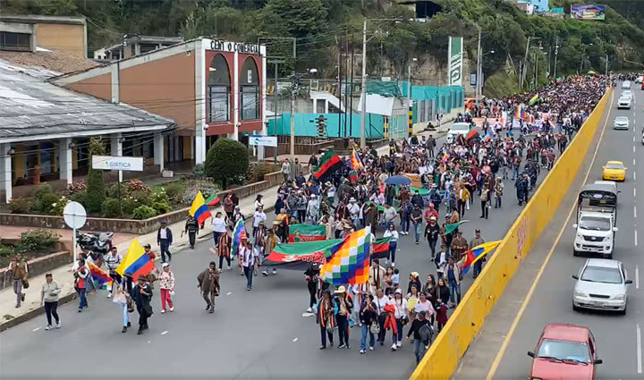 Radio Viva Fenix