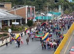 Radio Viva Fenix