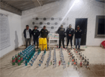 Radio Viva Fenix