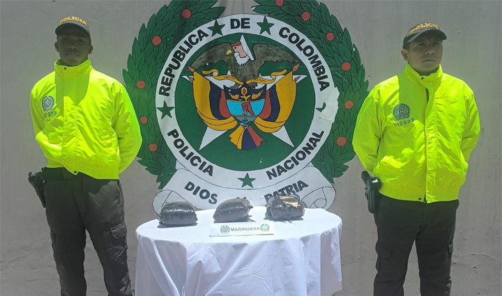 Radio Viva Fenix
