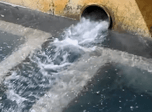 Radio Viva Fenix