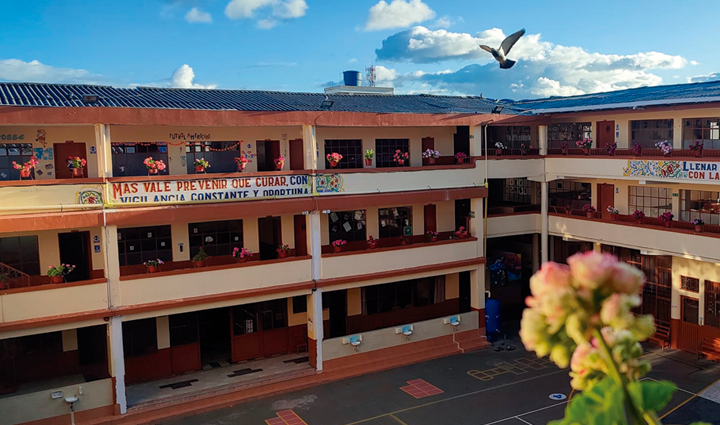 Radio Viva Fenix