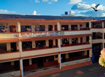 Radio Viva Fenix