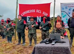 Radio Viva Fenix
