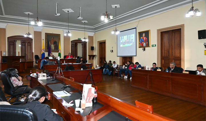 Radio Viva Fenix
