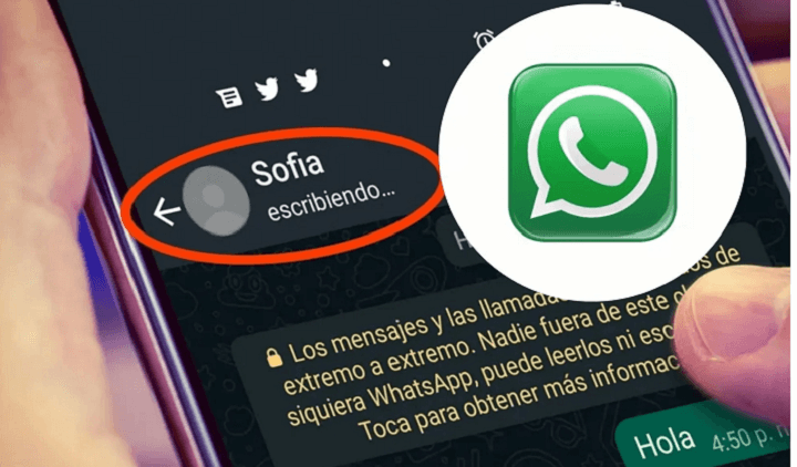 Radio Viva Fenix