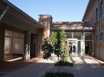 Radio Viva Fenix