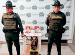 Radio Viva Fenix
