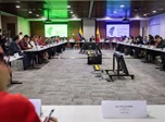Radio Viva Fenix