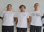 Radio Viva Fenix