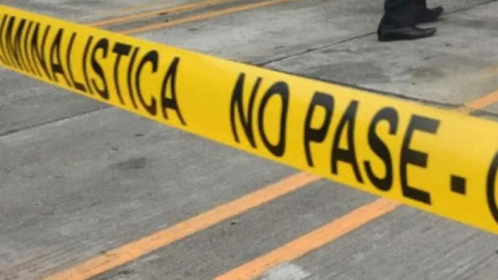 Radio Viva Fenix