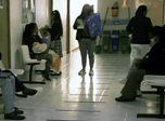 Radio Viva Fenix