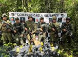 Radio Viva Fenix