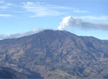 Radio Viva Fenix