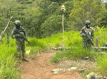 Radio Viva Fenix